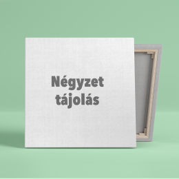 negyzet